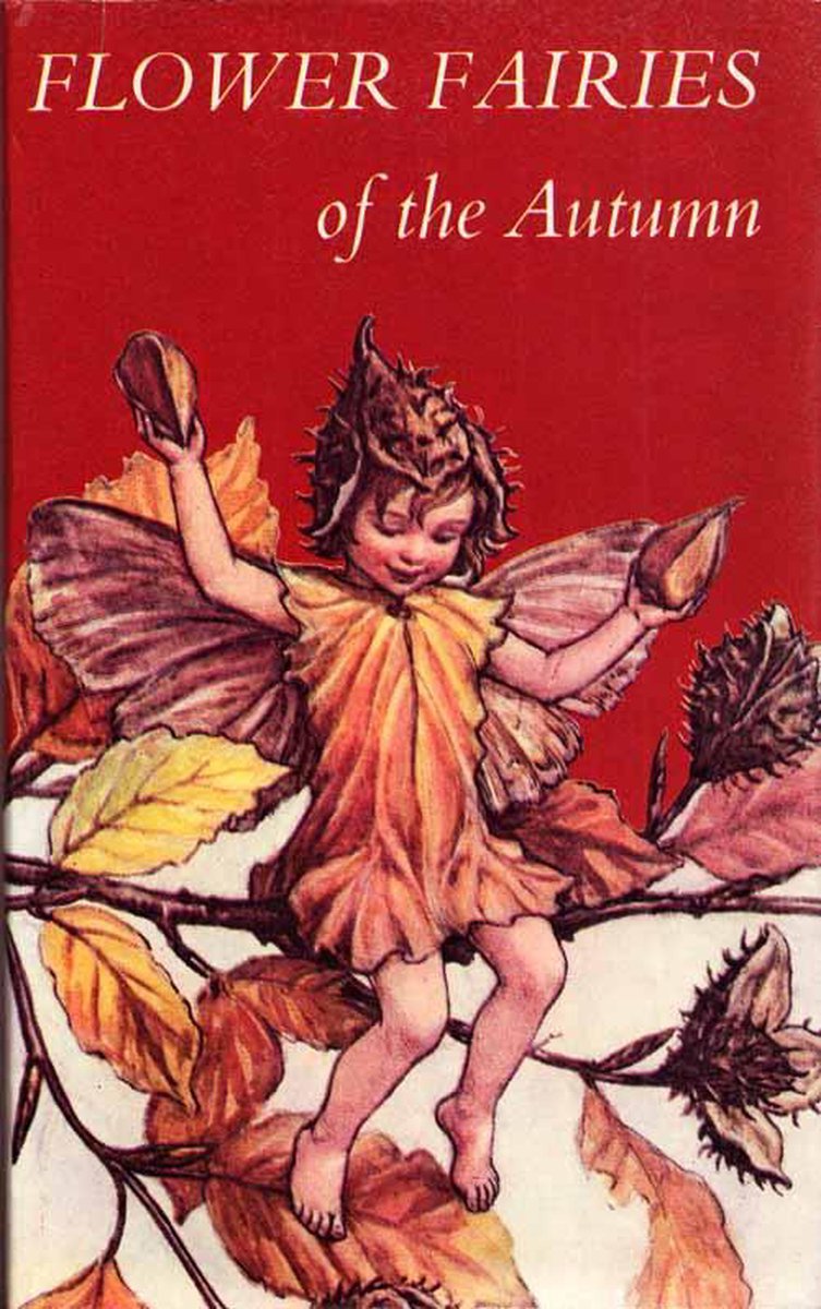 Flower Fairies of the Autumn