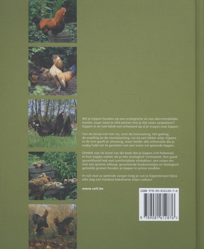 Kippen in de tuin Kippen in de tuin achterkant