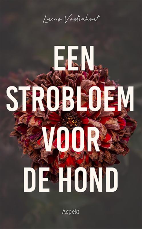 Lucas Vastenhout Een Strobloem Voor De Hond