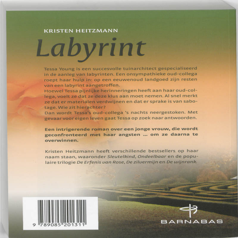Het labyrint achterkant