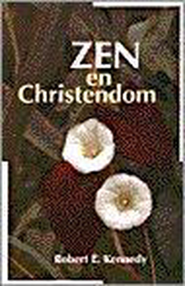 boekenbalie_9789062718658_cover Zen En Christendom
