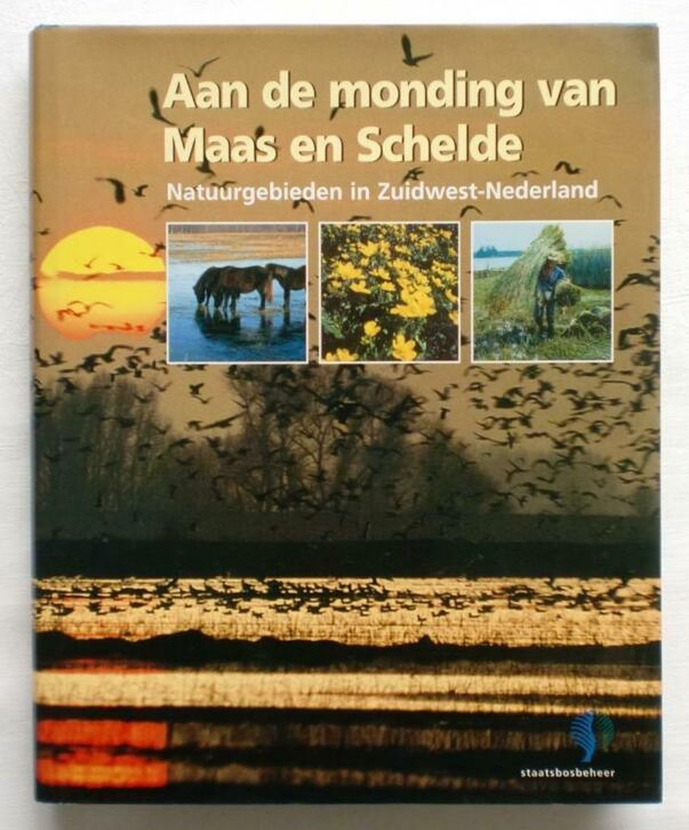 boekenbalie_9789090132846_cover AAN DE MONDING VAN MAAS EN SCHELDE