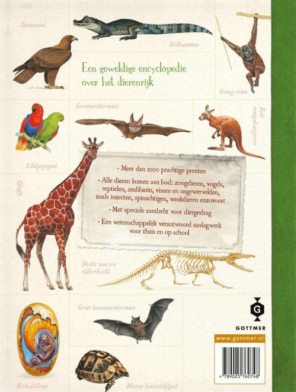 Over het dierenrijk achterkant