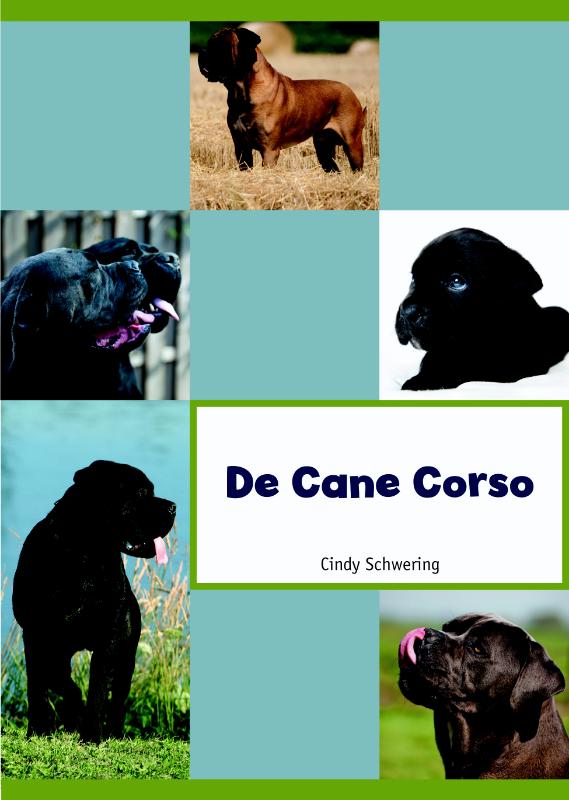 C.A. Schwering De Cane Corso thumbnail