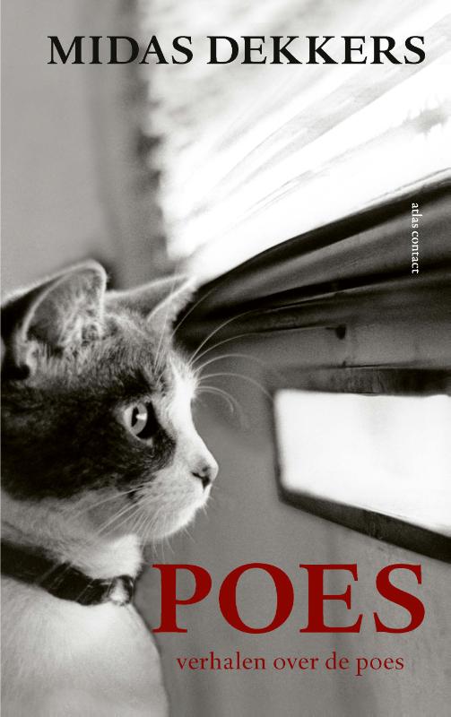 Midas Dekkers Poes thumbnail
