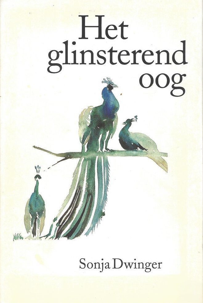 Het glinsterend oog