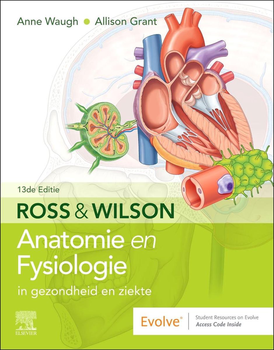 Anne Waugh Ross En Wilson Anatomie En Fysiologie In Gezondheid En Ziekte