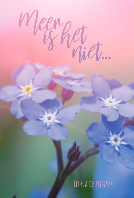 Meer is het niet...