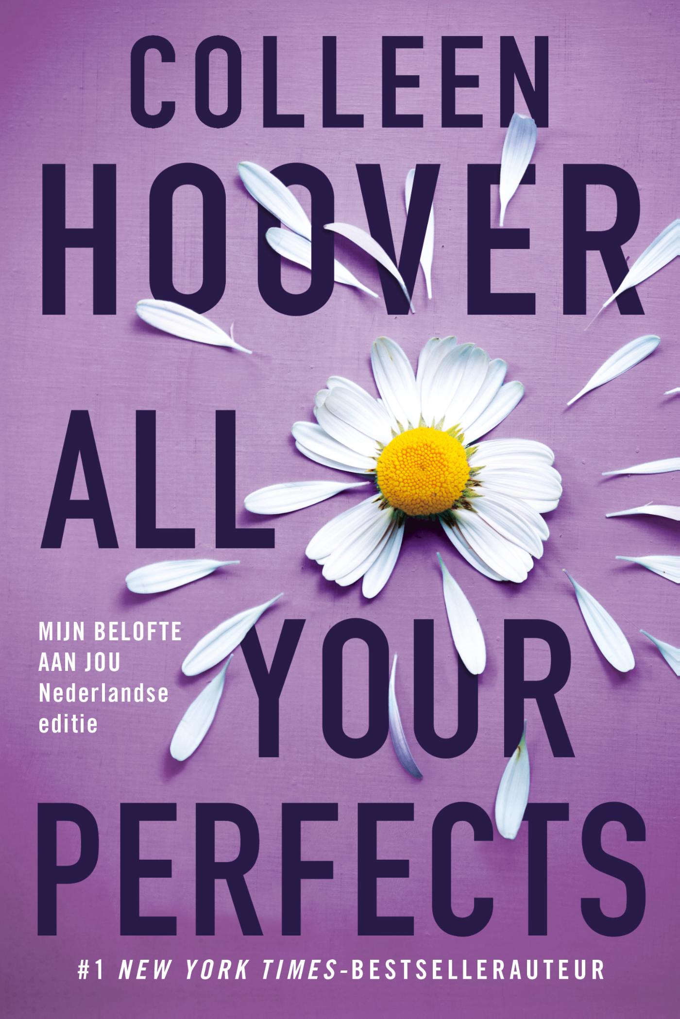 Colleen Hoover All Your Perfects thumbnail
