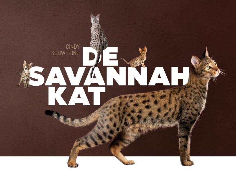 Cindy Schwering De Savannah Kat