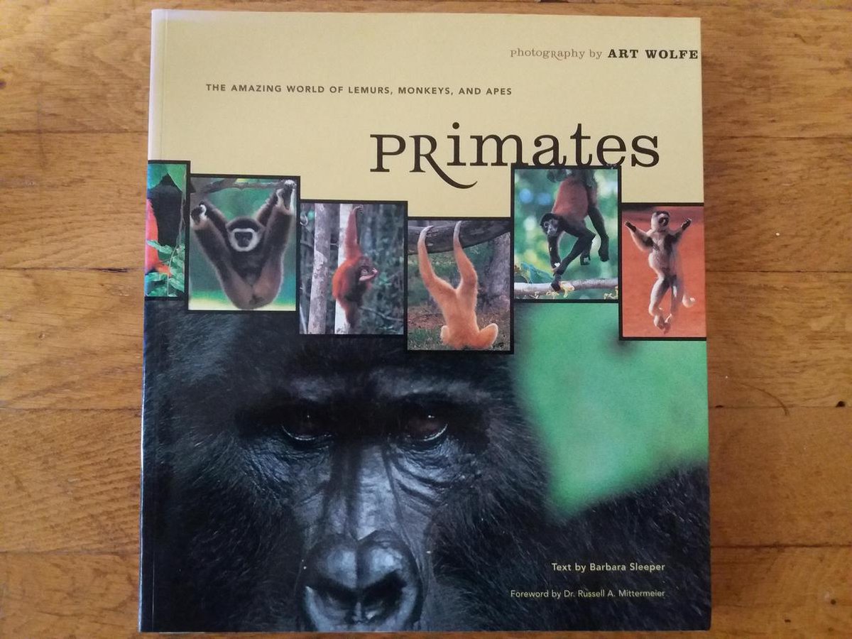 Primates