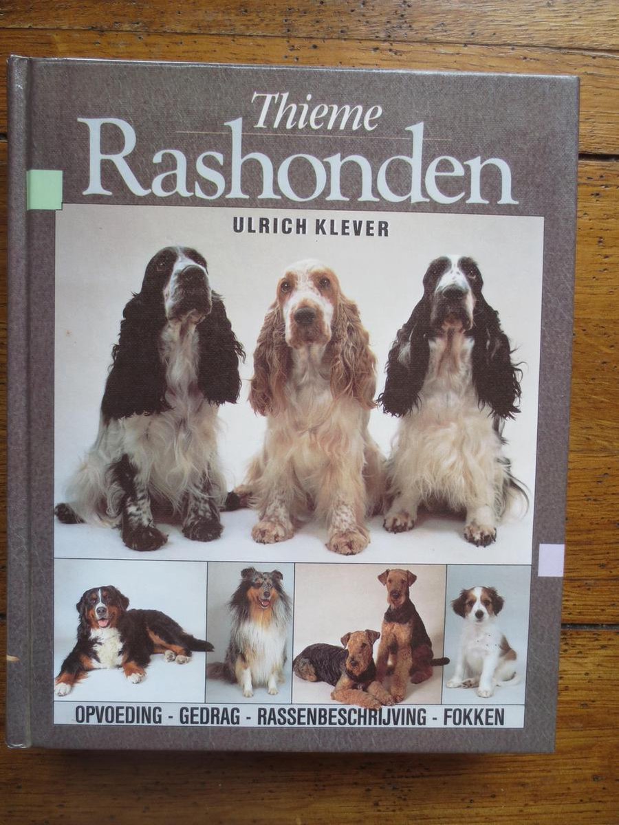 RASHONDEN / HONDEN