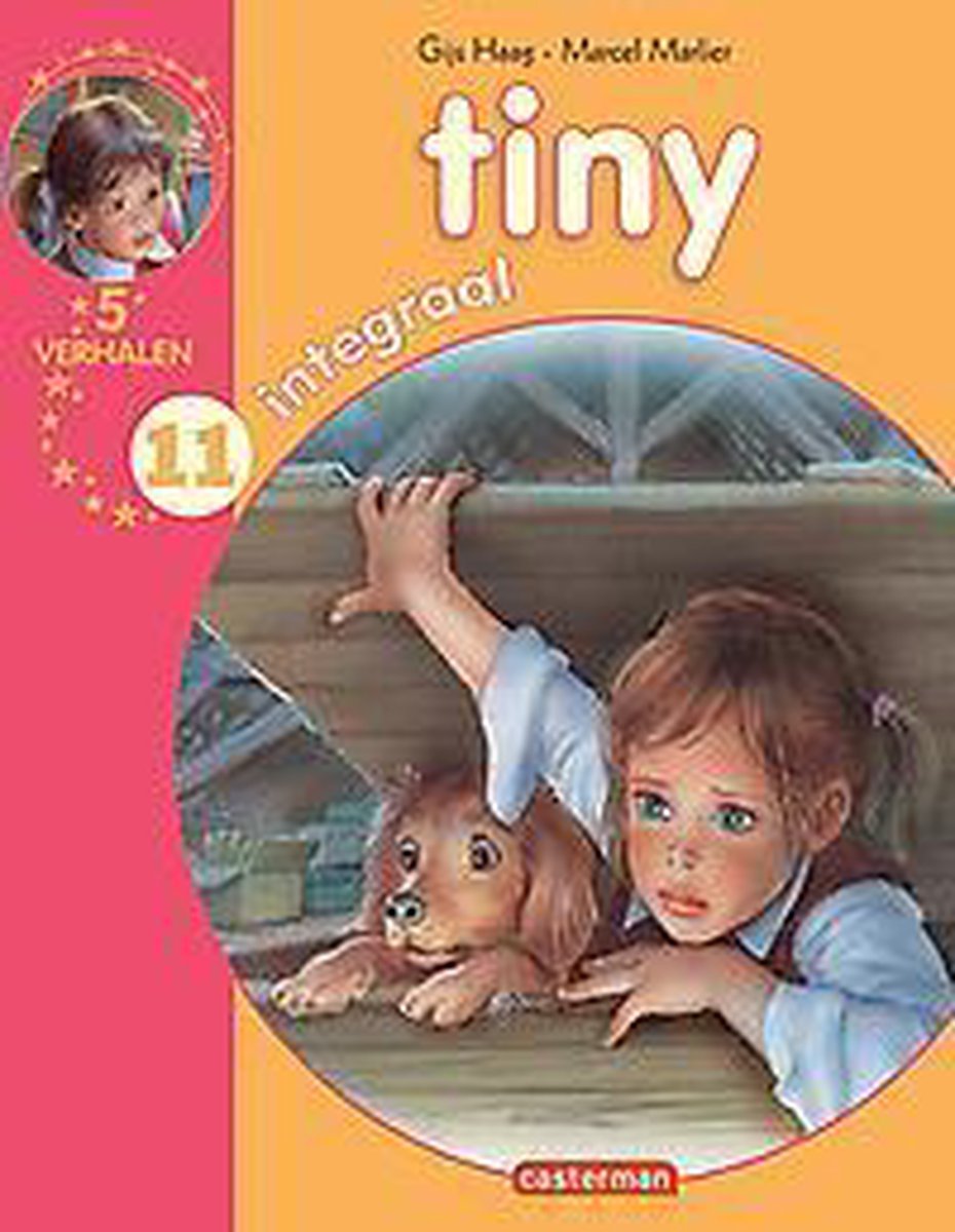 Tiny integraal