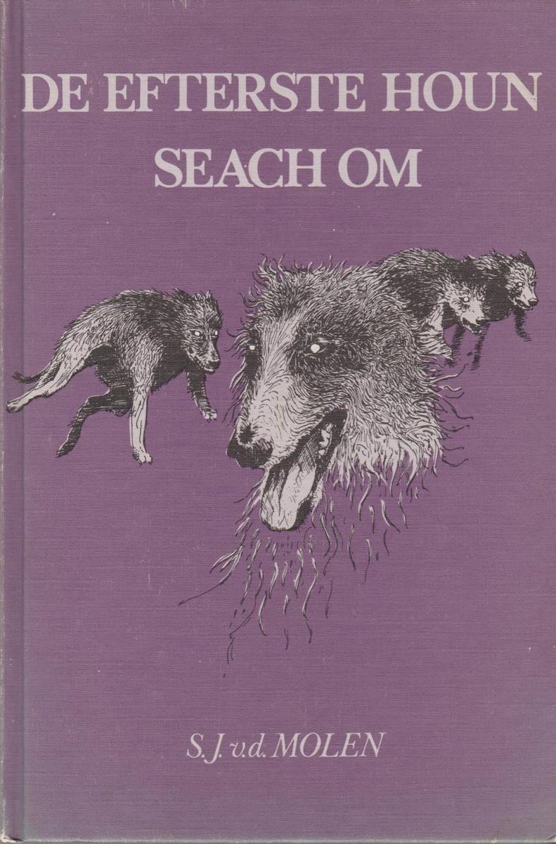 boekenbalie_9789062723010_cover Efterste houn seach om