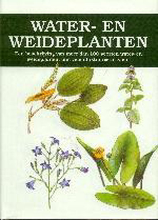 V. Vetvicka Water- En Weideplanten