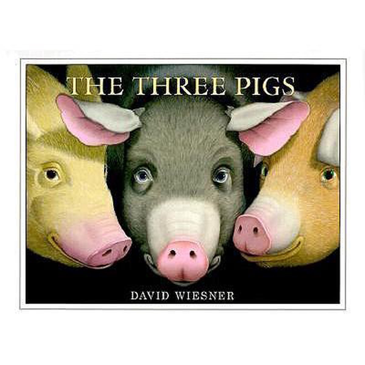 Three Pigs