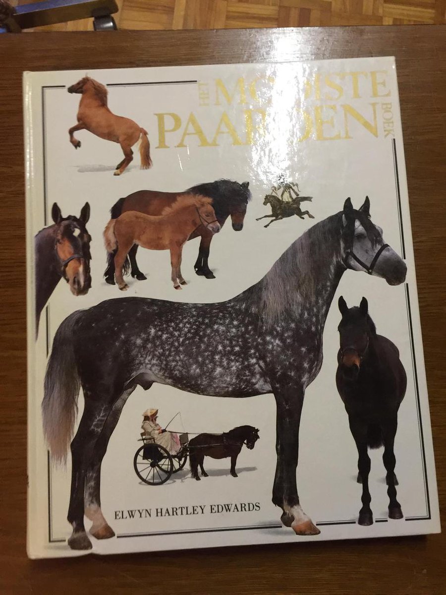 MOOISTE PAARDENBOEK