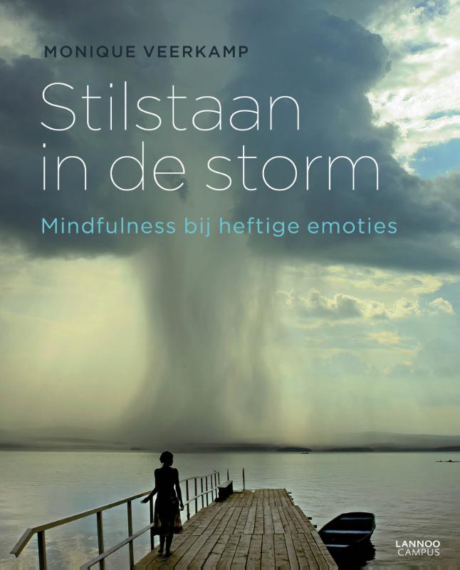 Stilstaan in de storm