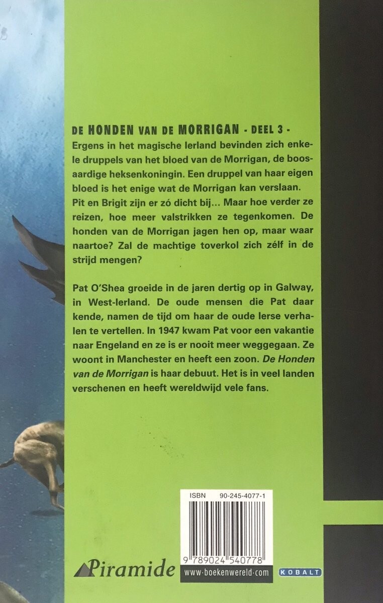 Een tijd van vreugde en strijd / De honden van de Morrigan / 3 achterkant