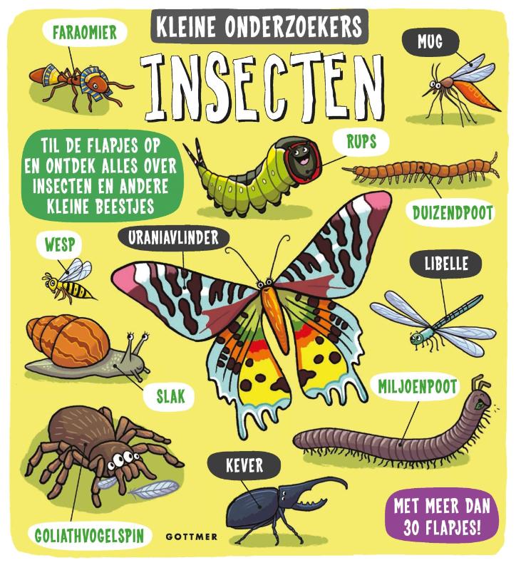 Kleine onderzoekers  -   Insecten