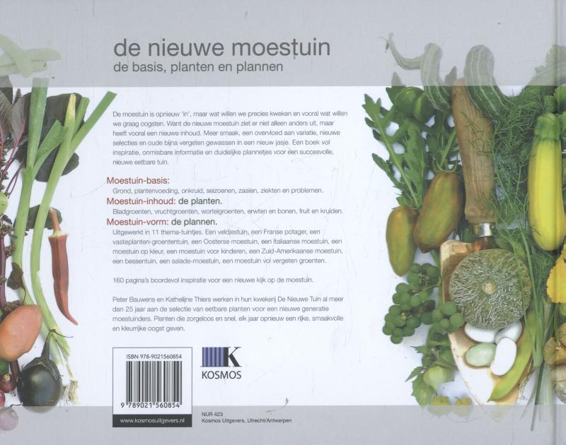 De nieuwe moestuin achterkant