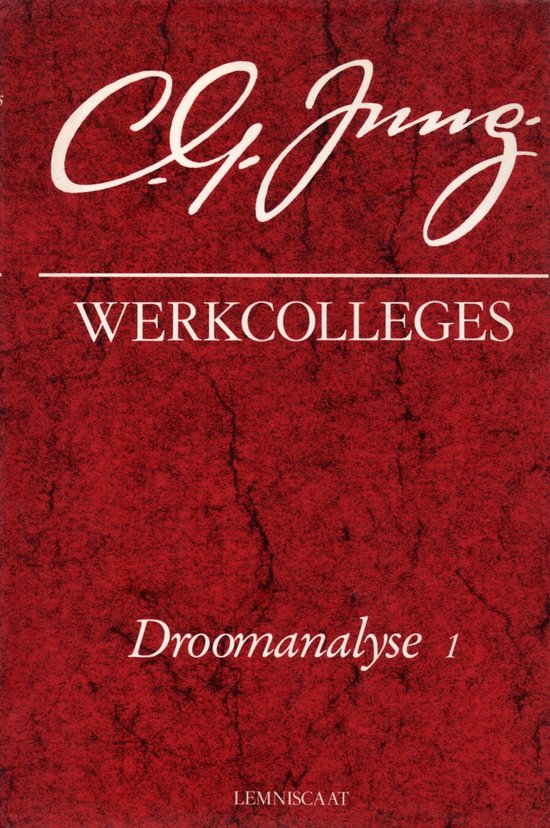 WERKCOLLEGES 3. DROOMANALYSE 1