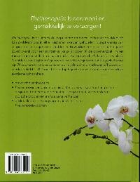 Phalaenopsis achterkant