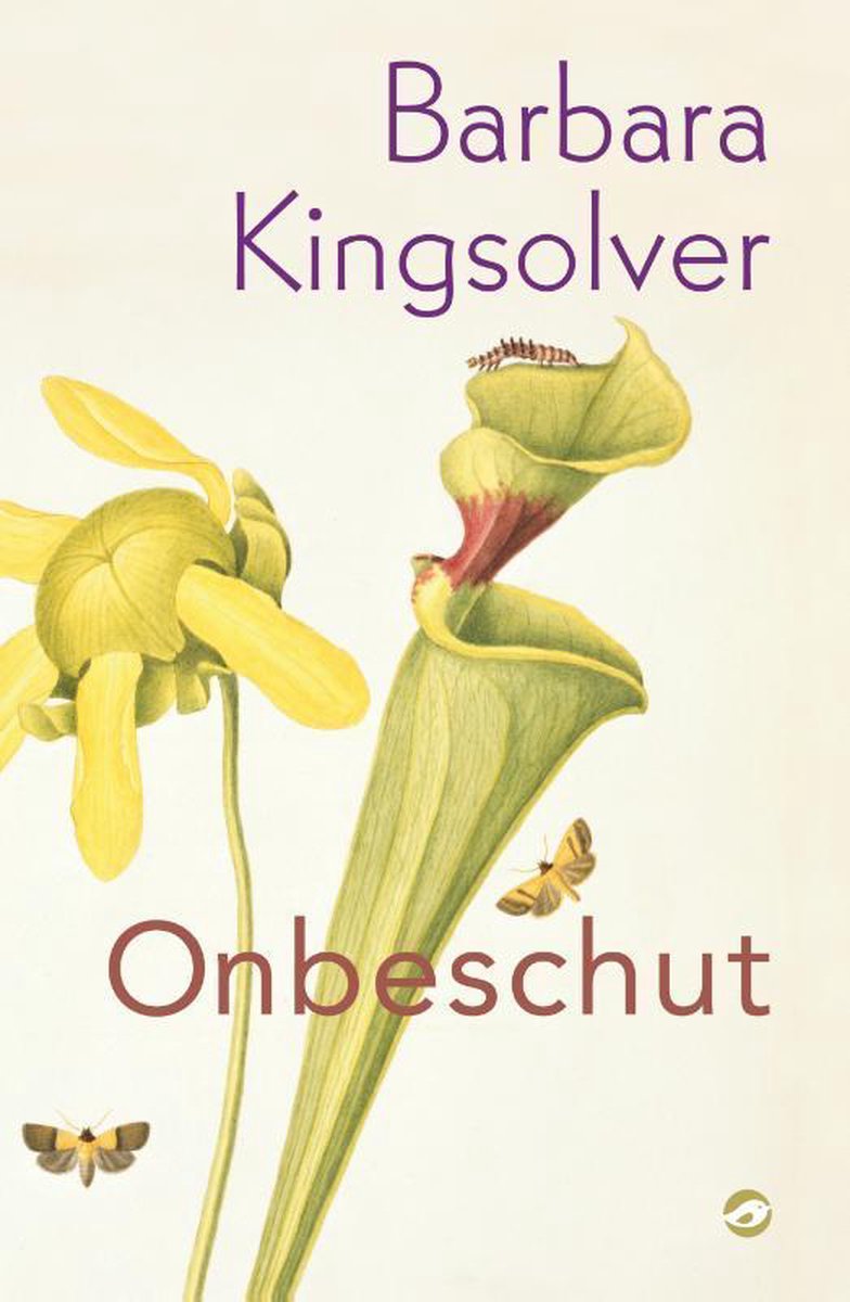 Barbara Kingsolver Onbeschut thumbnail
