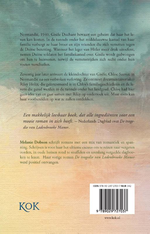 Het geheim van Chateau d´Epines achterkant