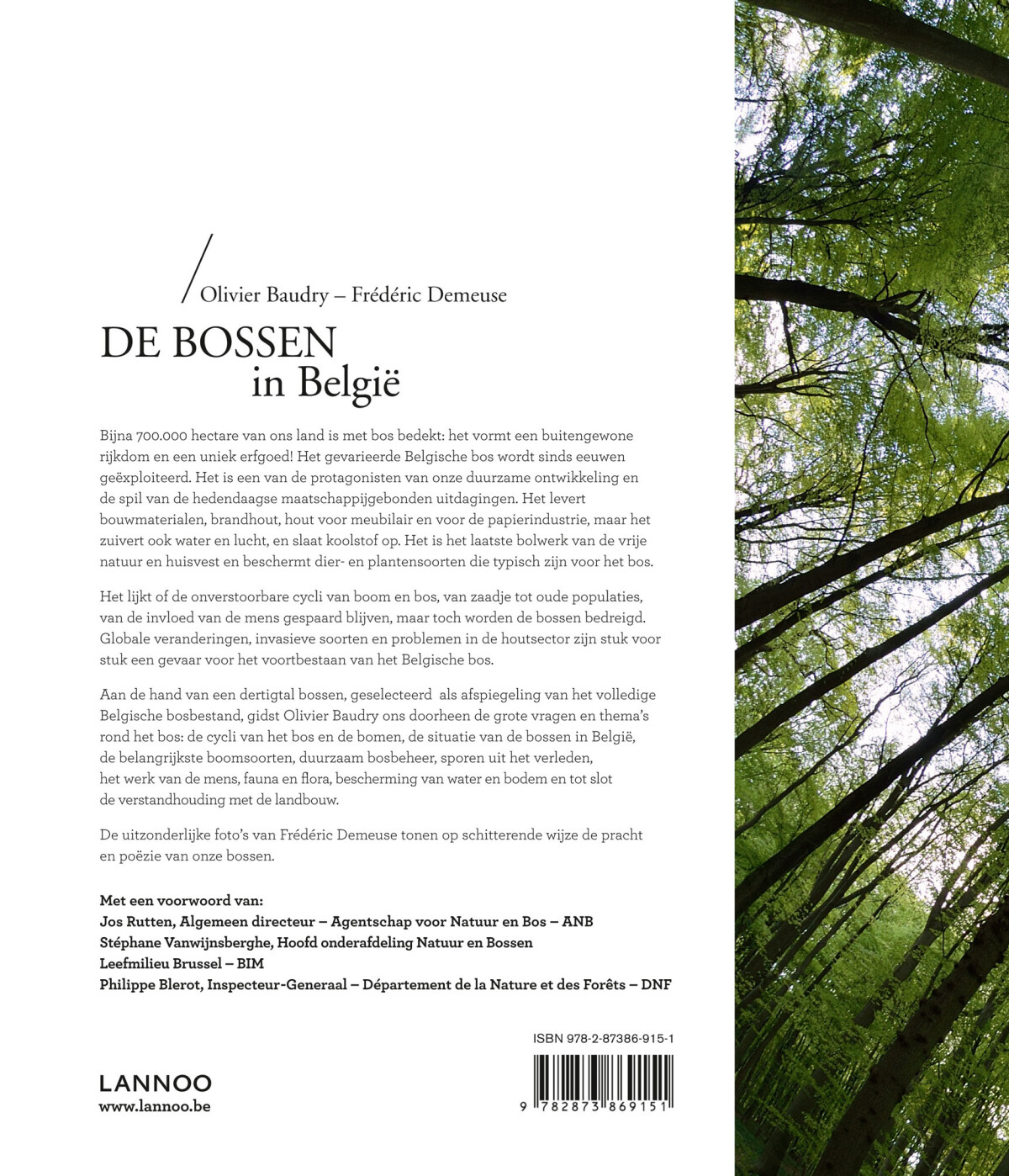 Bossen in België achterkant