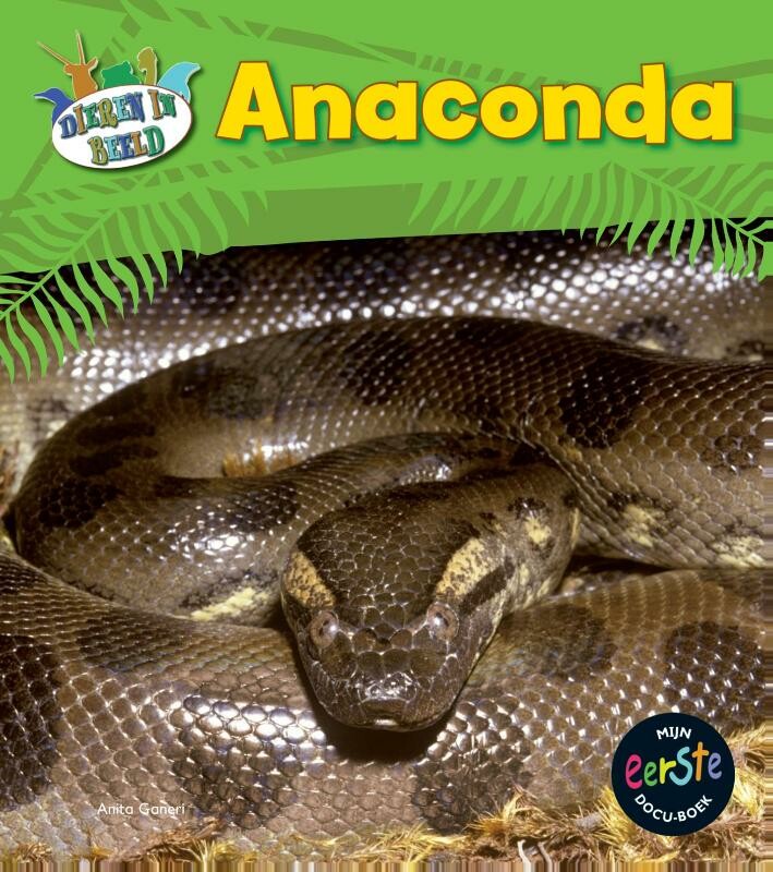 Anaconda / Dieren in beeld