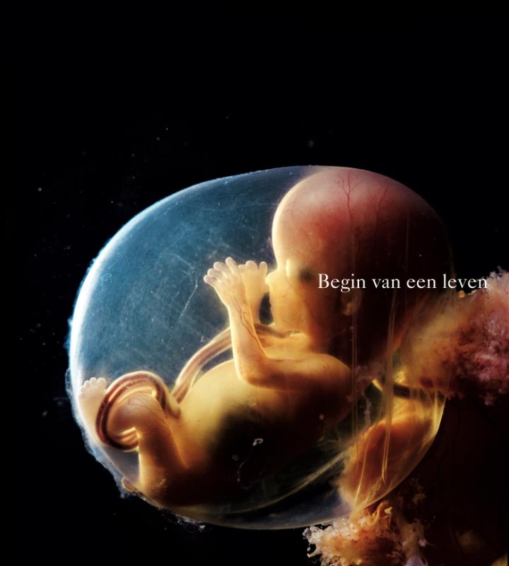 Lennart Nilsson Begin Van Een Leven thumbnail