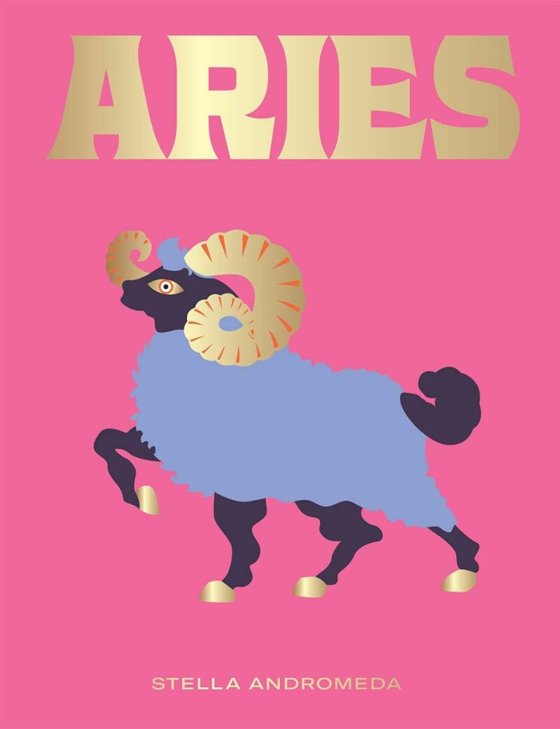 Seeing Stars: Aries