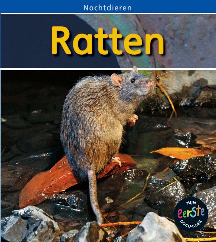 Nachtdieren  -   Ratten