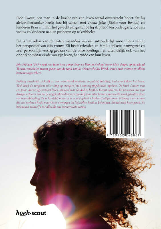 De Viking verslagen achterkant