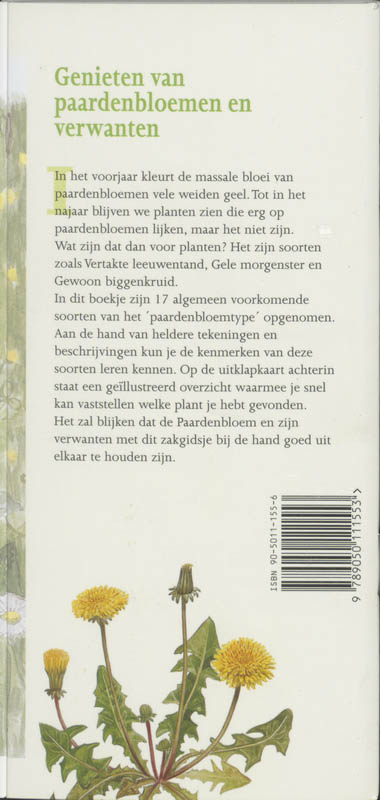 Paardenbloemen in beeld achterkant