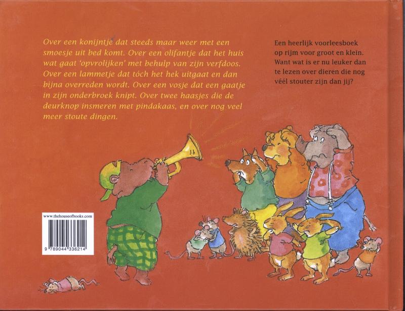 Het stoute dingenboek voor peuters en kleuters achterkant