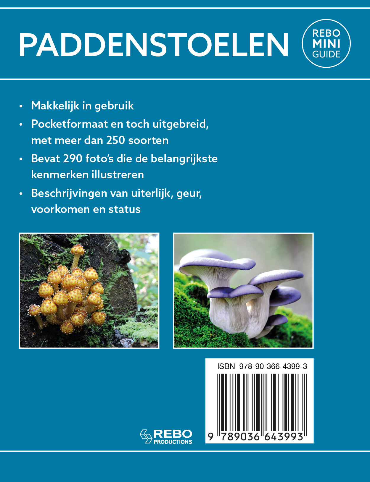 Paddenstoelen / Rebo mini guide achterkant