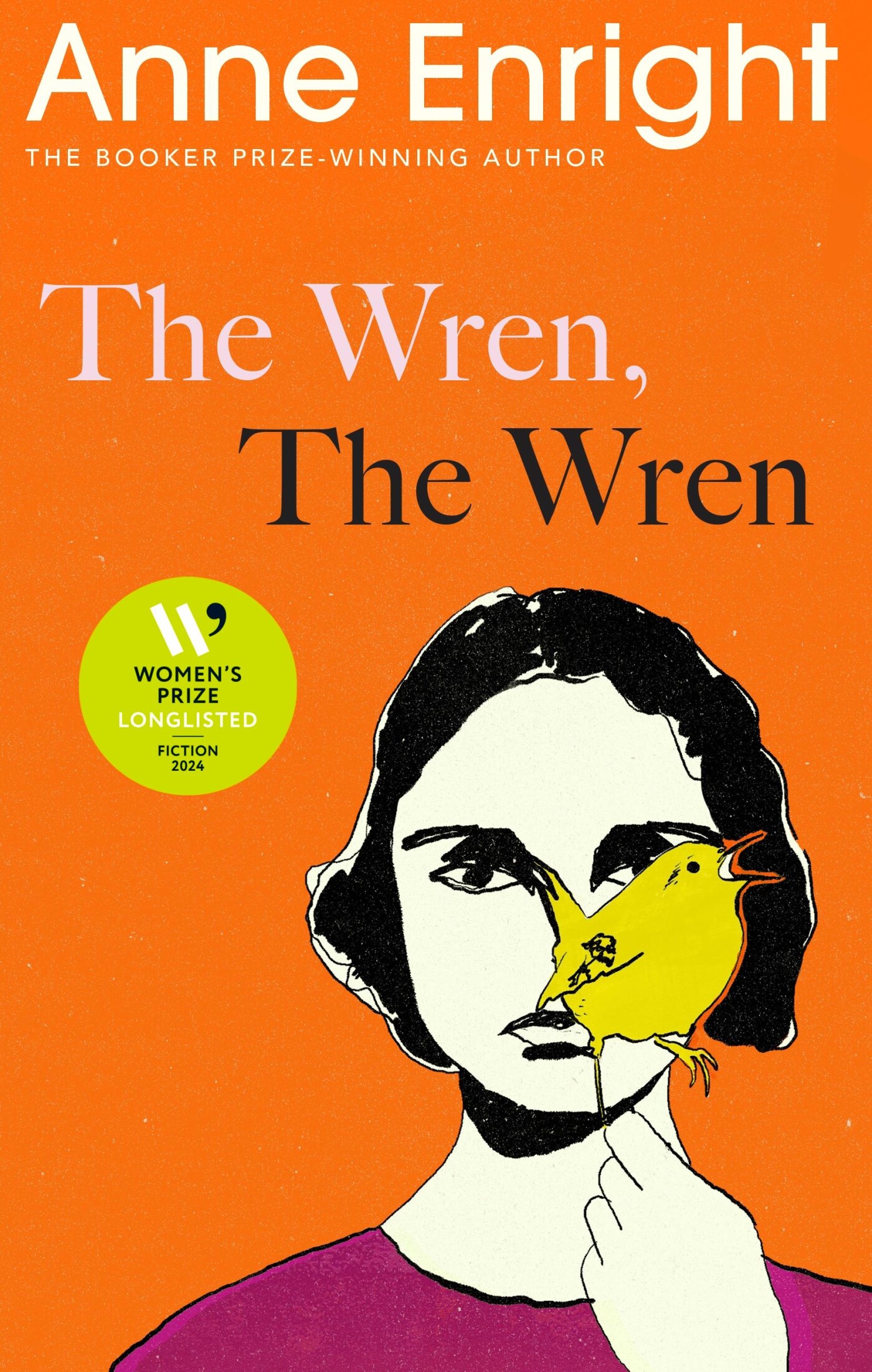 Anne Enright The Wren, The Wren thumbnail
