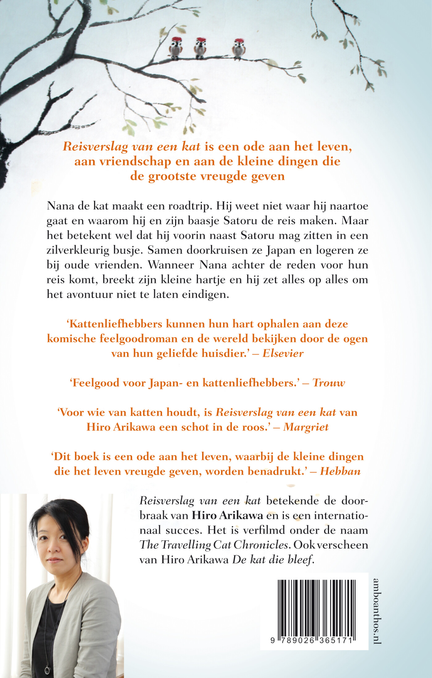 Reisverslag van een kat achterkant