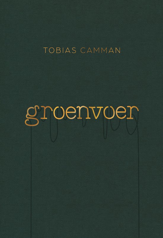 Groenvoer