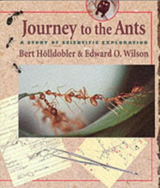 Bert Hölldobler Journey To The Ants thumbnail