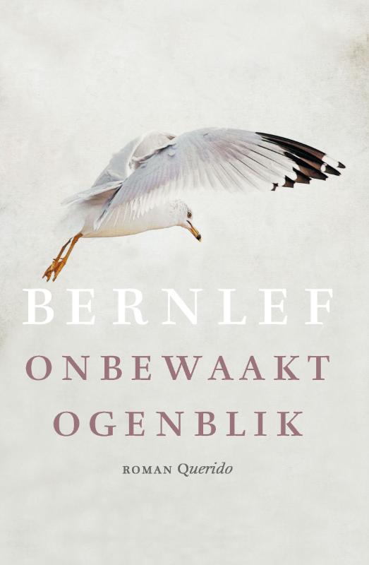 Isbn Onbewaakt ogenblik thumbnail