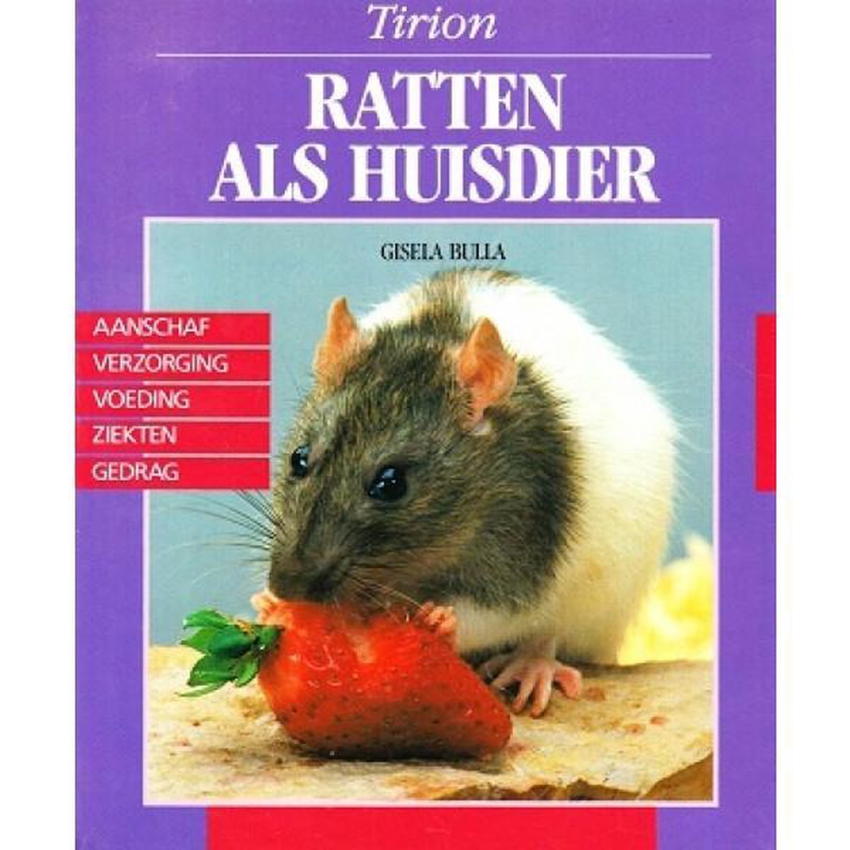 Ratten als huisdier