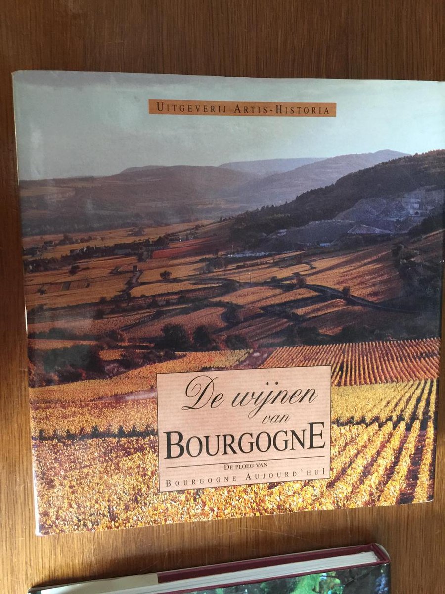boekenbalie_9789056571139_cover De wijnen van Bourgogne / Gastronomie