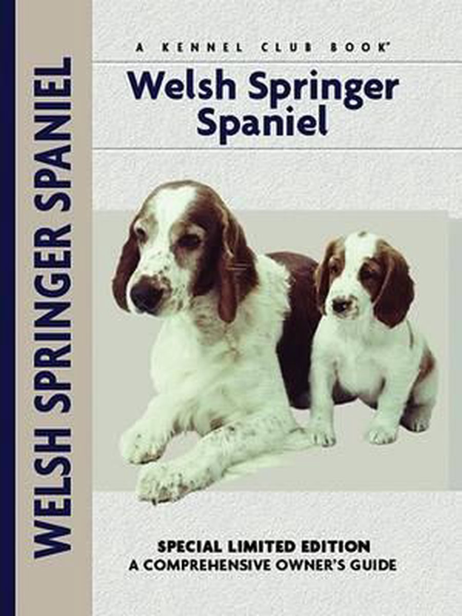 Welsh Springer Spaniel