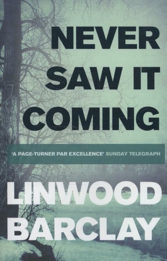 Linwood Barclay Never Saw It Coming thumbnail