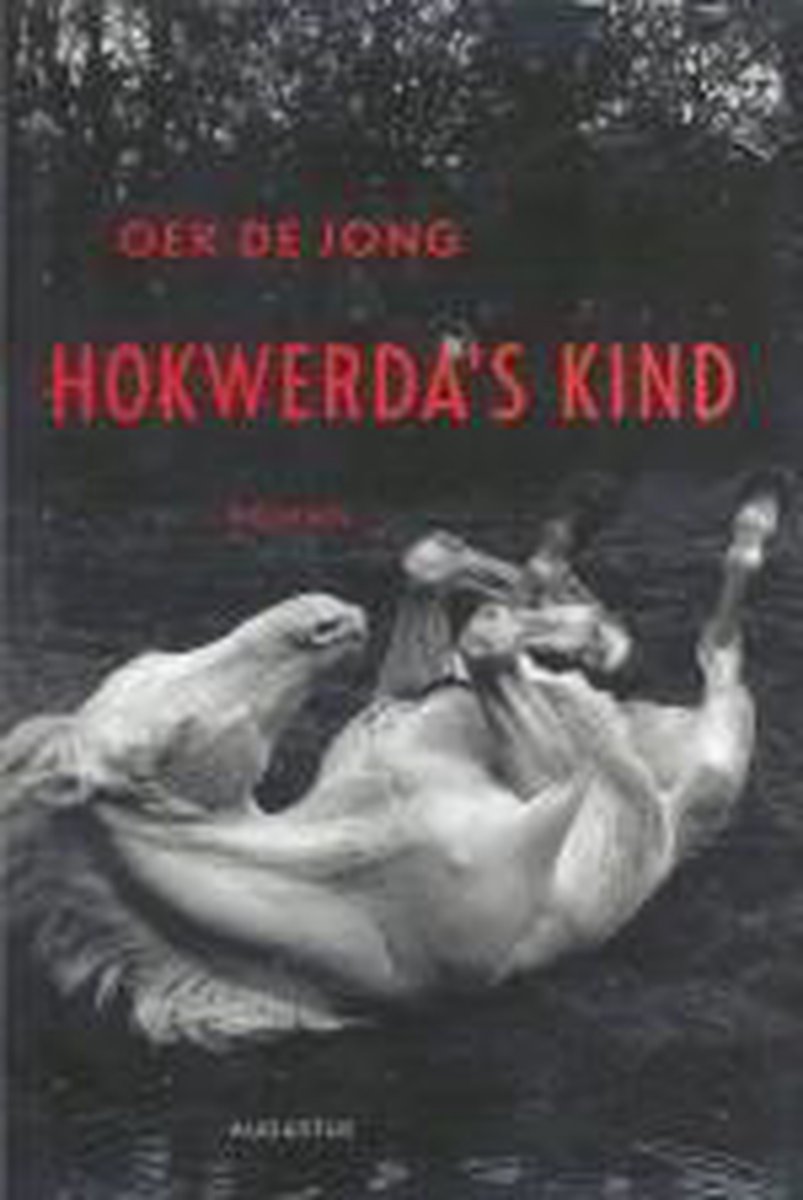 boekenbalie_9789045702018_cover HOKWERDA'S KIND