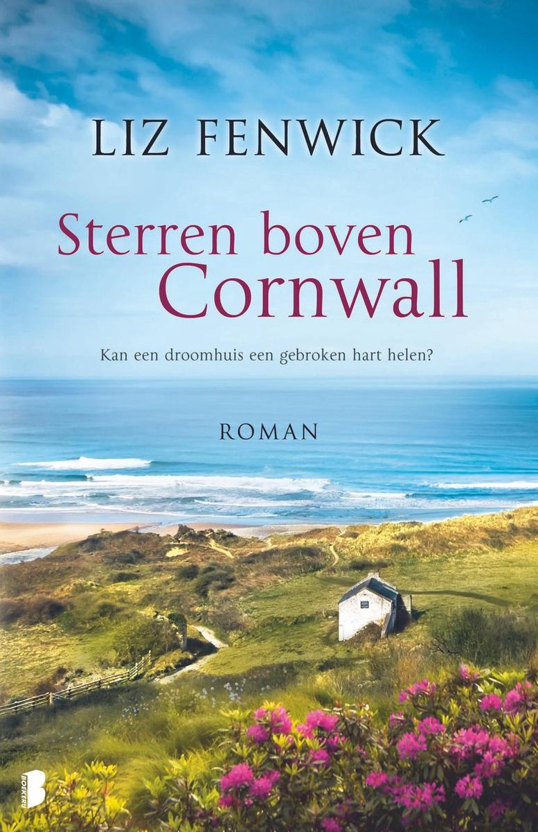 Liz Fenwick Sterren Boven Cornwall thumbnail