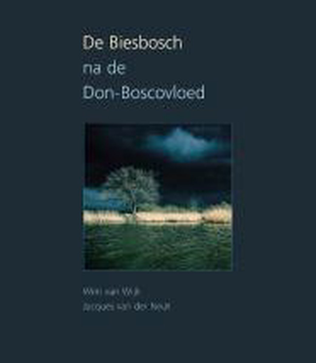 Biesbosch Na De Don Boscovloed